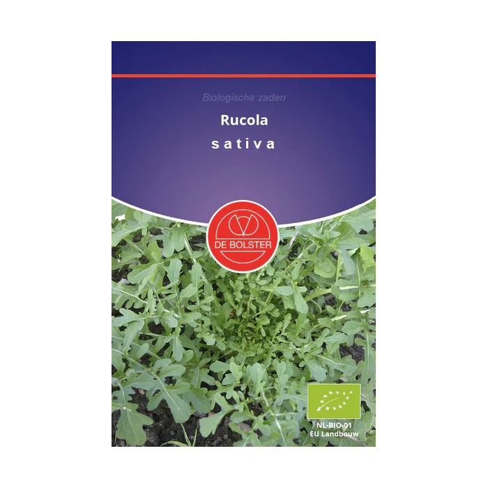 Rukola-Rucolakers - Kiemgroente Eruca sativa-BS9020