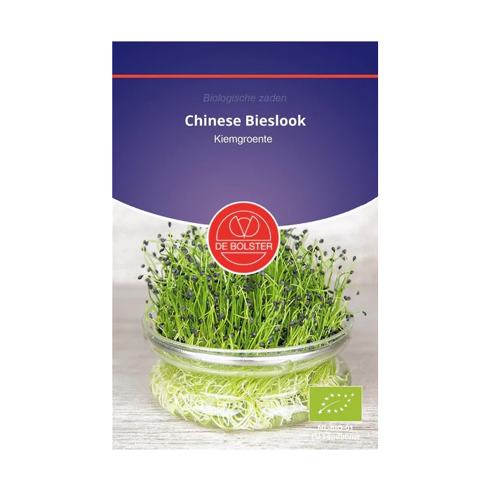 Vlasac-Kineski-Chinese bieslook - Kiemgroente Allium tuberosum-BS9035