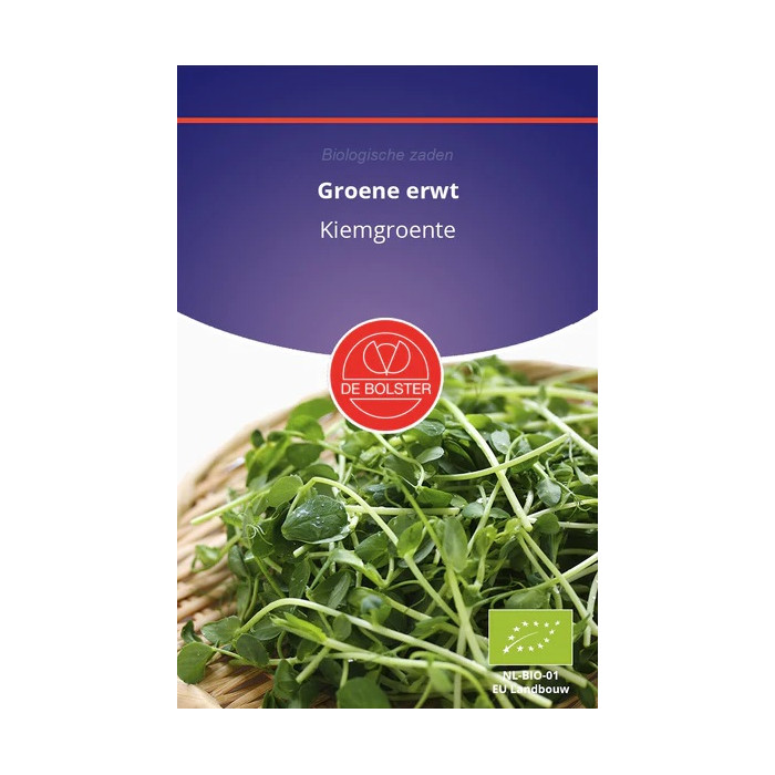Zeleni grašak-Groene erwt - Kiemgroente Pisum sativum-BS9036