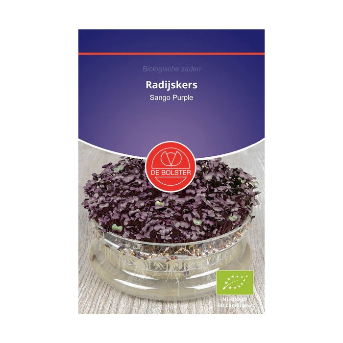 Rotkvica-violet-crvena-Radijskers 'Sango Purple' Raphanus sativus-BS9041