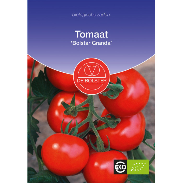 Paradajs-Tomaat 'Bolstar Granda' Solanum lycopersicum-BS1945