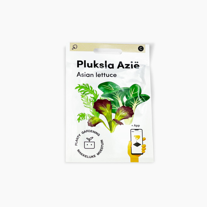 Salata-Fina-Azija-Pluksla Azia-MM-exclusive