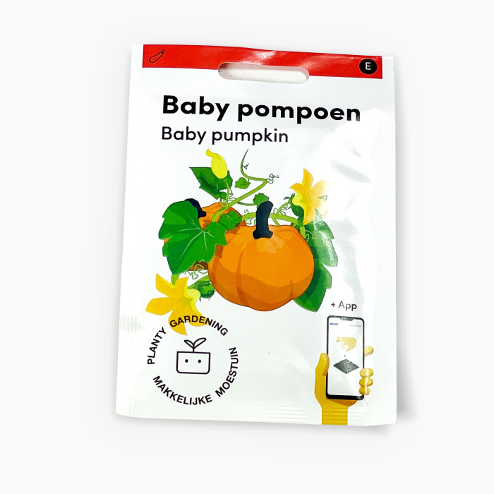 Bebi tikva-Baby pompoen-MM-exclusive