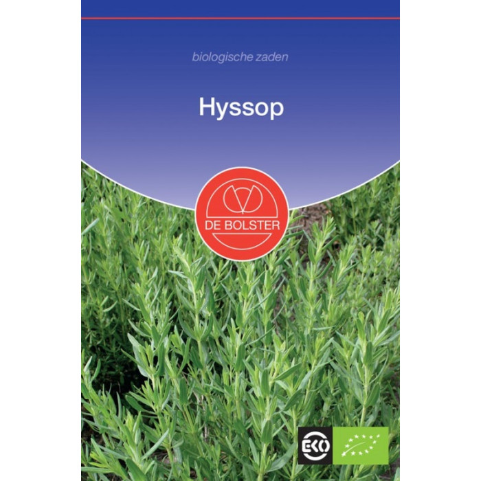 Izop-Miloduh-Hyssop-BS3110